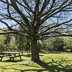 Vakantiehuis C11306-tarm-hjortevej-10 Tarm