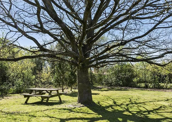 Feriehus C11306-tarm-hjortevej-10 Tarm